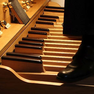 Orgel